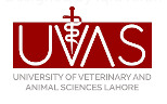 University of Veterinary and Animal Sciences, Lahore